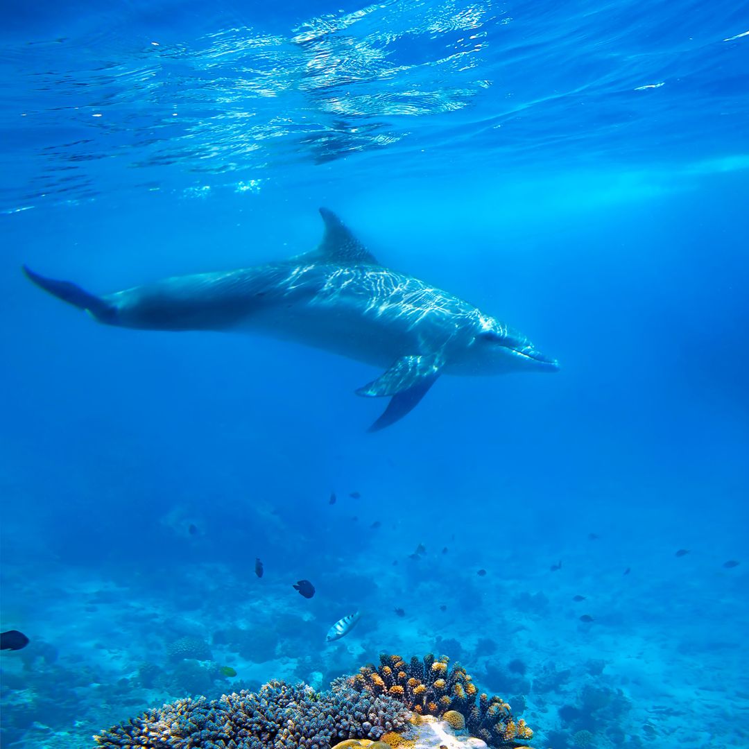 Zanzibar Tour | 20 - 25 September 2026
