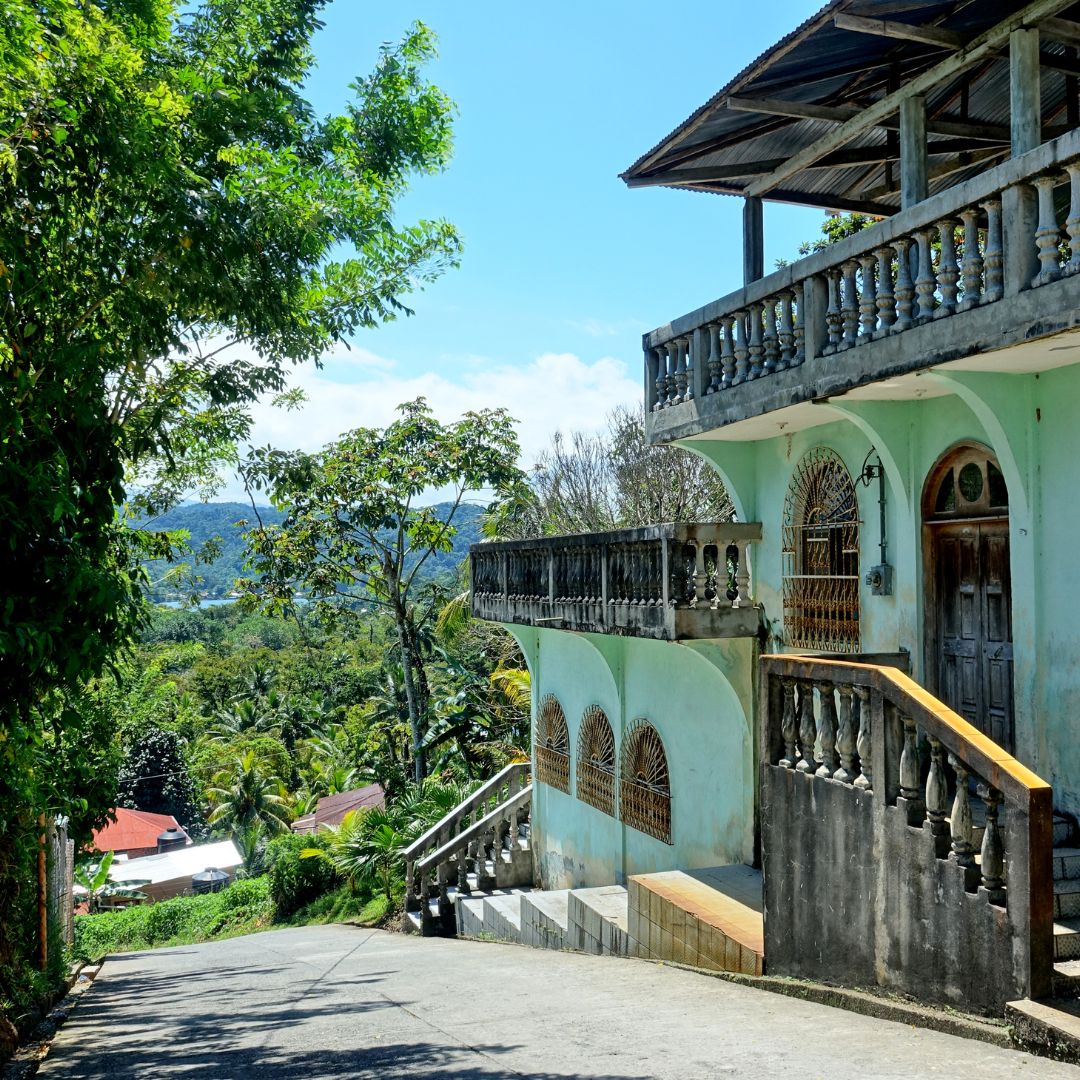 Zimbabwe, Botswana and Zambia Tour | 28 December 2025 - 2 January 2026