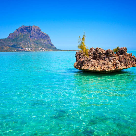 Mauritius Tour | 22 - 27 November 2026