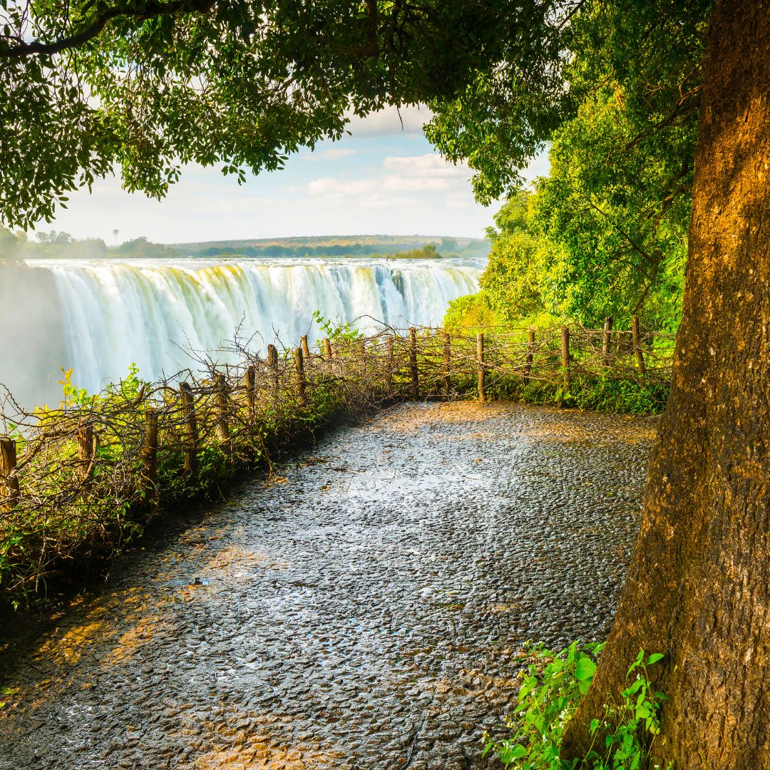 Zimbabwe, Botswana and Zambia Tour | 28 December 2025 - 2 January 2026