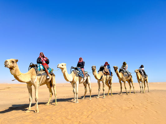 Namibia Tour | 27 April - 2 May 2025