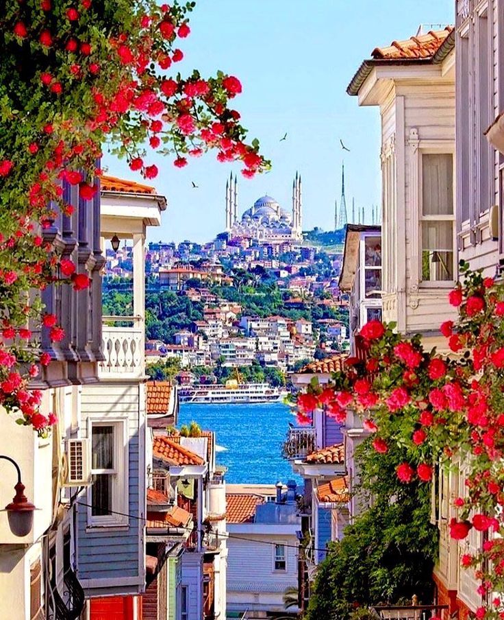 Turkey Tour | 4 - 12 October 2026
