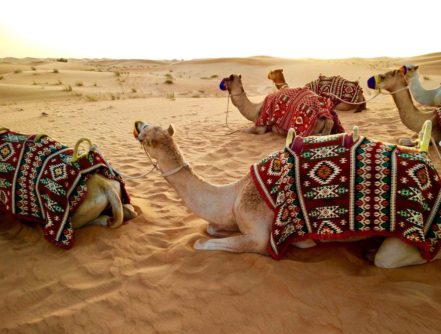 Dubai & Bali Tour | 26 October - 6 November 2025