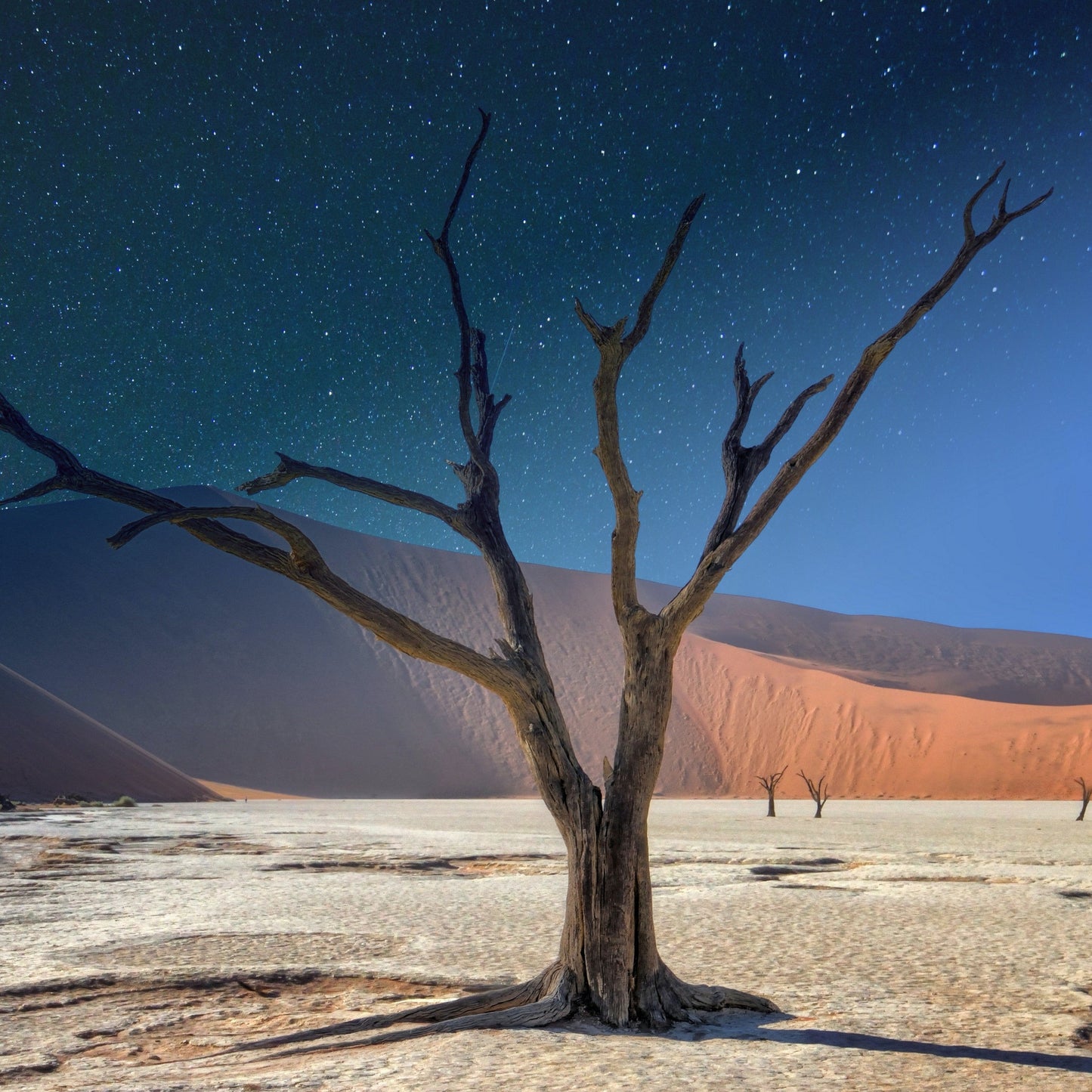 Namibia Tour | 28 December 2025 - 2 January 2026