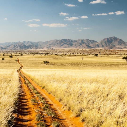 Namibia Tour | 28 December 2025 - 2 January 2026