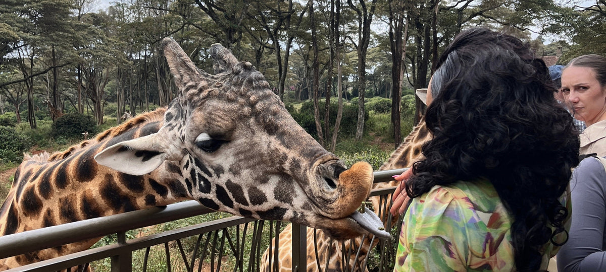 Kenya tours from South Africa