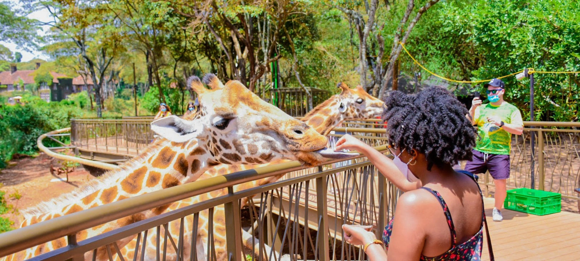 Kenya and Zanzibar combination tours from South Africa
