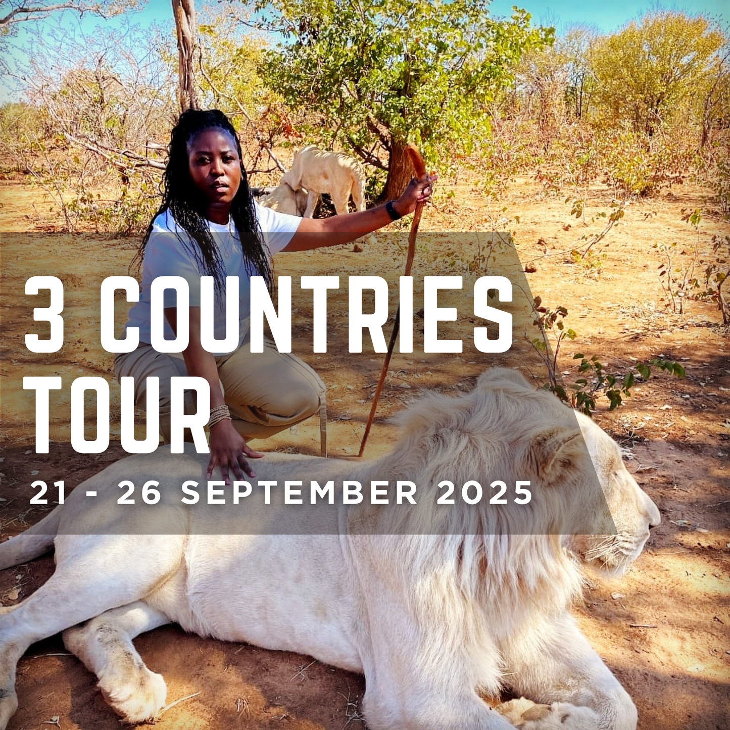 Zimbabwe, Botswana and Zambia Tour | 21 - 26 September 2025