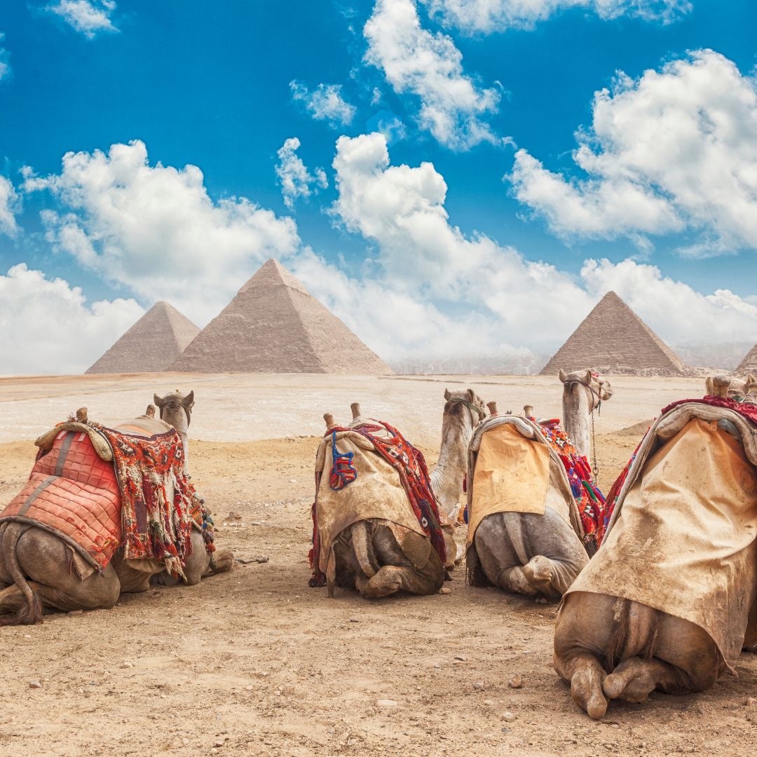 Egypt Tour | 20 - 25 April 2025