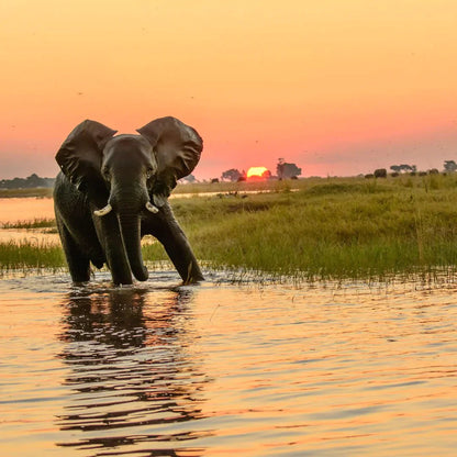 Zimbabwe, Botswana and Zambia Tour | 15 - 20 June 2025