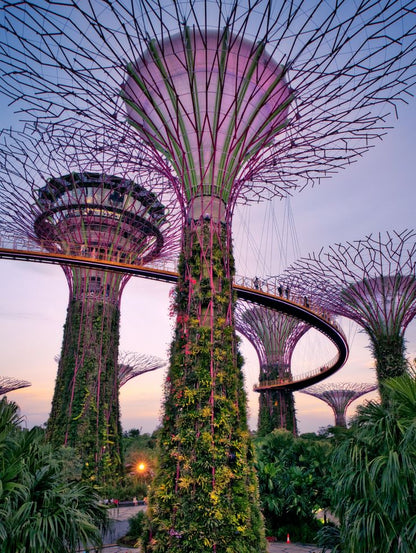Bali & Singapore Tour | 24 April - 2 May 2025