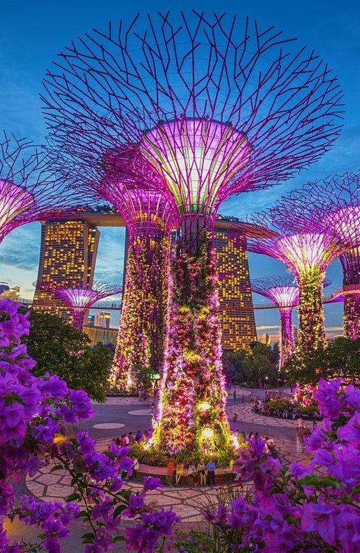 Bali & Singapore Tour | 24 April - 2 May 2025