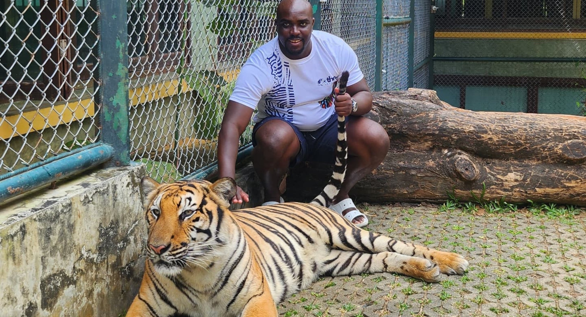 Thailand from South Africa