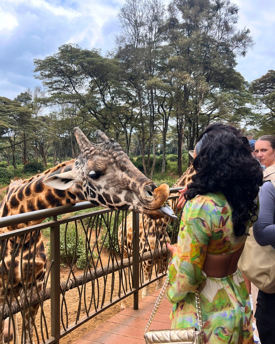 Feeding a giraffe at the Giraffe Centre in Nairobi on the Kenya and Zanzibar tour