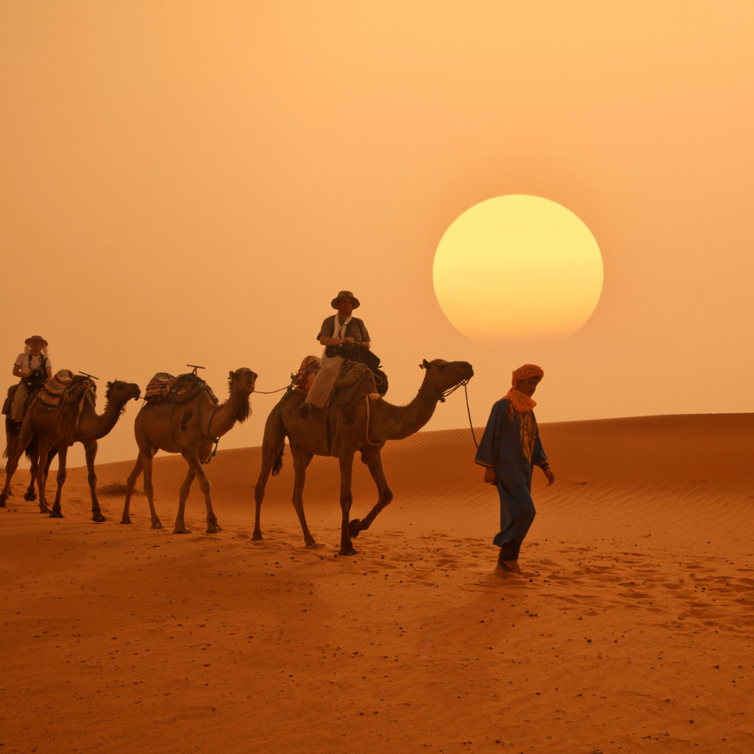 Morocco Tour | 15 - 22 June 2025