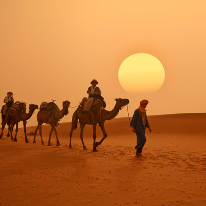 Morocco Tour | 15 - 22 June 2025