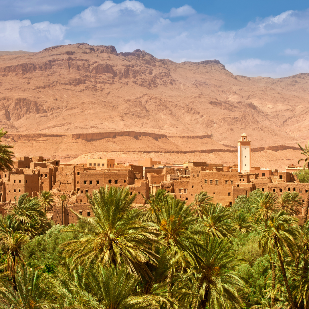 Morocco Tour | 15 - 22 June 2025