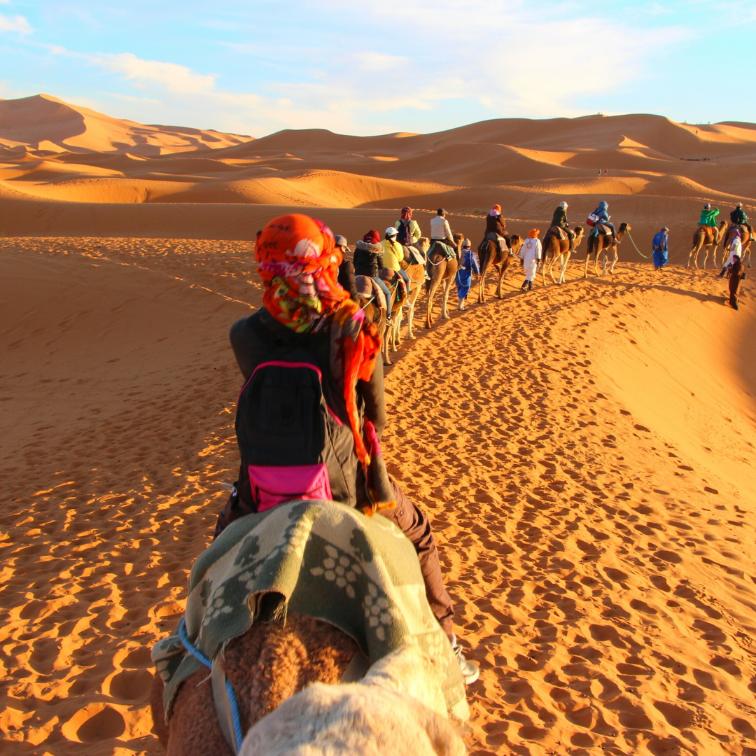 Morocco Tour | 15 - 22 June 2025