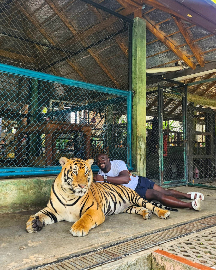 Thrifty Adventures traveller at the tiger sanctuary in Phuket, Thailand