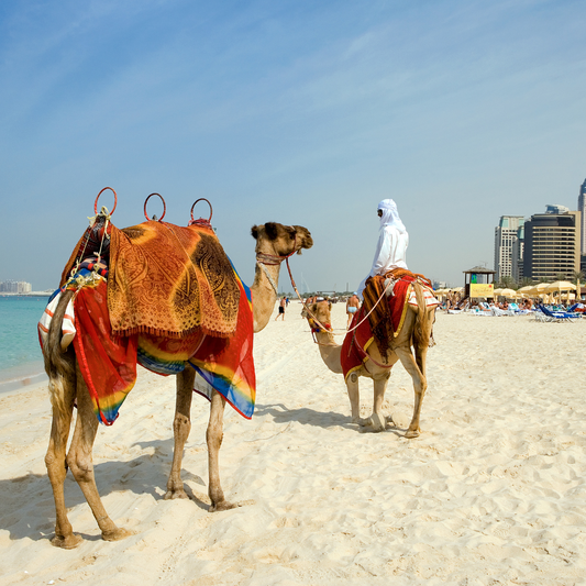 Dubai & China Tour | 30 March - 10 April 2025
